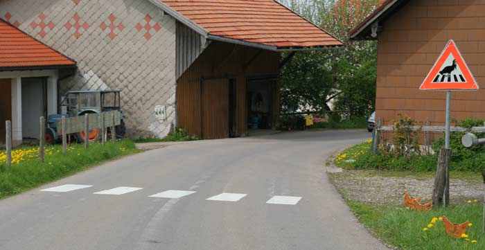 Verkehrszeichen: Geschützter Hehnnen Überweg anstatt für Fußgänger - Heimhofen - Westallgäu