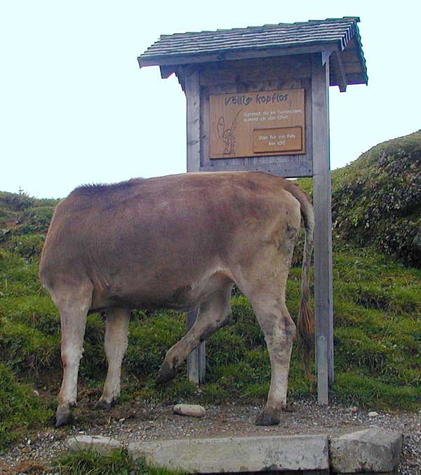 Schild: Völlig kopflos - steht der Schumpen vor diesem Schild am Hündle