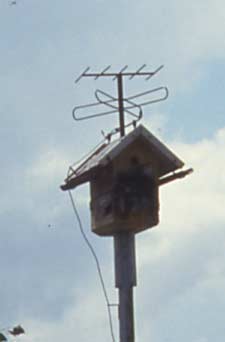 Analoger Fernsehempfang für Vogelhaus in Moosbach 1997