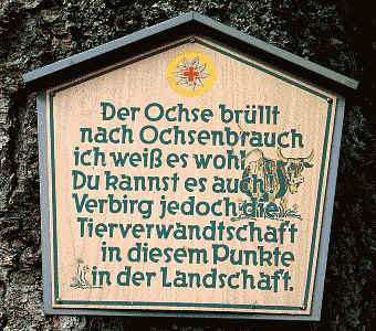 Der Ochse brüllt nach Ochsenbrauch, ich weis es wohl, du kannst es auch, verbirg die Tierverwandschaft in diesem Punkte in der Landschaft