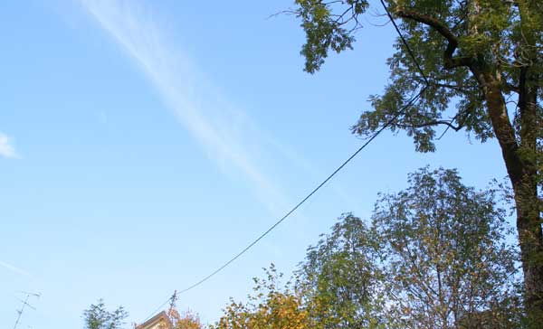 &Ouml;kologischer Strommast in der Hausbachklamm in Weiler, gesehen Oktober 2005