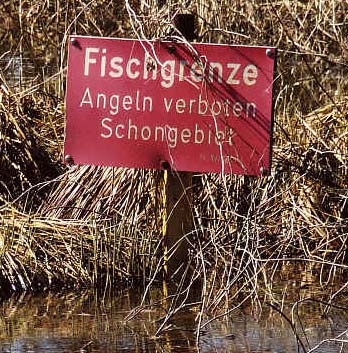 Fischgrenze - Angeln im Schilf verboten 