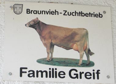 Braunviehzuchtbetrieb in Bayern
