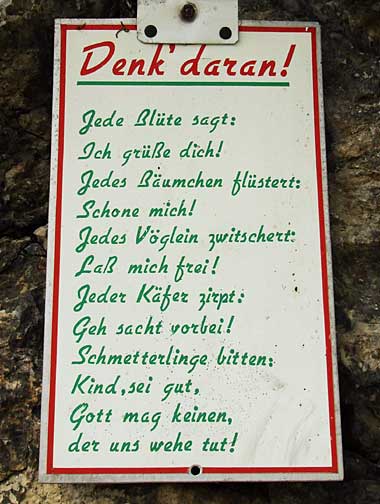 Jede Blüte sagt ich grüße dich, jedes Bäumchen flüstert, schone mich, Jedes Vöglein zwitschert, laß mich frei, Gott mag keinen der uns wehe tut