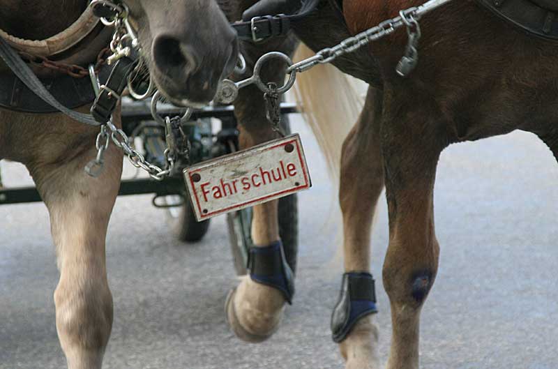 Fahrschule für Kutschen und Pferdefuhrwerke im Allgäu