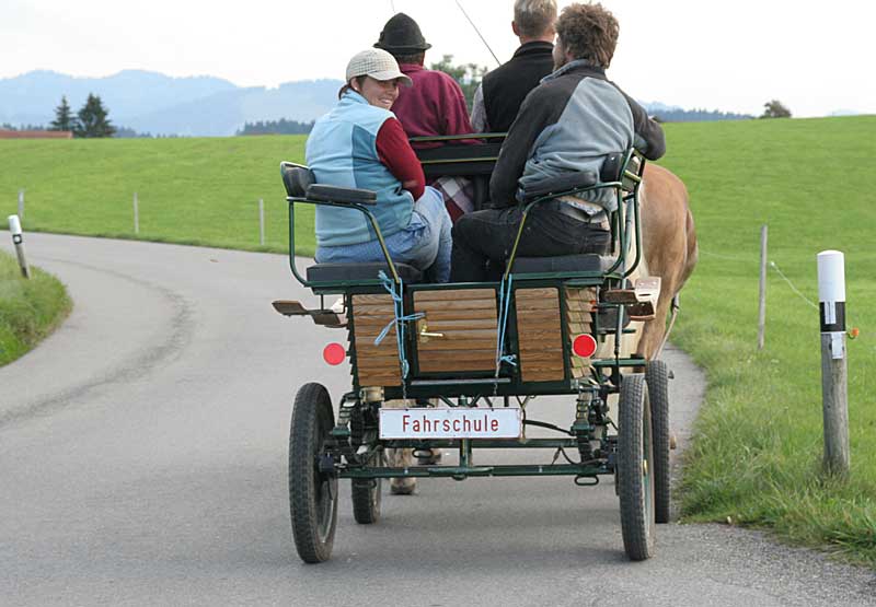 Fahrschule für Kutschen und Pferdefuhrwerke im Allgäu