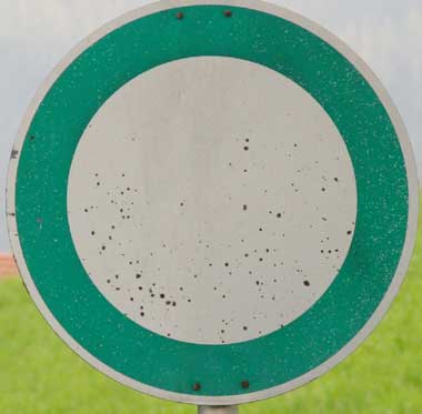 Grünes Verkehrszeichen - Verboten oder erlaubt???? Reut 2007 (Gde Maierhöfen)