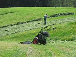 händische Wiesenarbeit da die Wiese zu feucht ist - Heimenkirch 2007