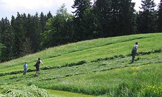 das Gras mus zusammengercht werden per Hand, da der Hang zu steil und zu nass ist - Heimenkirch 2007