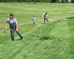 Händische Wiesenarbeit, da er nicht mit schweren Maschinen befahrbar ist - Heimenkirch 2007