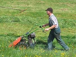 händische Wiesenarbeit da die Wiese zu feucht ist - Heimenkirch 2007