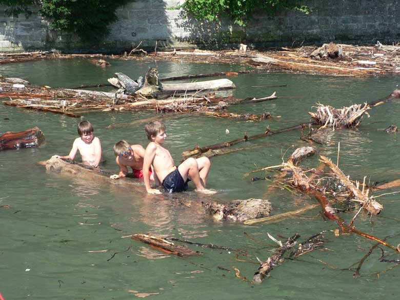 jedes Jahr wieder, man badet in Lindau am Bodensee in einer Holzschwemme, die vomj Alpenrhein angetrieben wurde