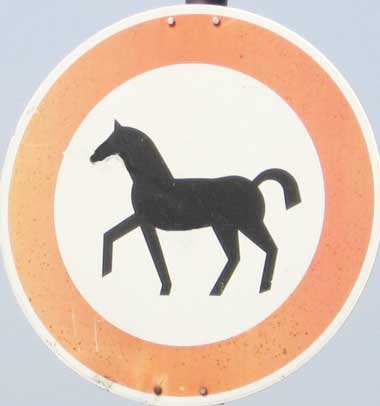 für Pferde verboten und für Reiter erlaubt? Petersthal 2007