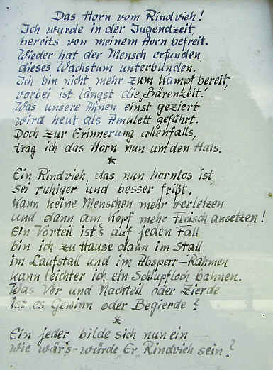 Das Horn vom Rindvieh! Ich wurde in der Jugendzeit bereits von meinem Horn befreit. Wieder hat der Mensch erfunden, dieses Wachstum unterbunden.