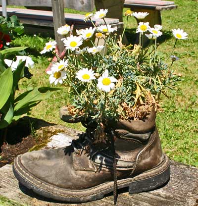 Wanderschuhe 2. Leben als Blumentop auf der Königsalpe 2010