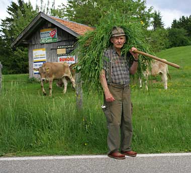 Gesehen und Erlaubnis für Veröffentlichung. Das ist Gras aus Strassengräben. Das auch verwendet wird!