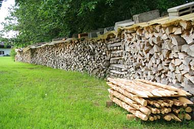 Viel Holz vor der Hütte - 2008 Frühjahr, nach der Heiszsaison - Heimhofen/Rutzhofen (Gde Steifenhofen - Westallgäu)