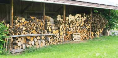 Viel Holz vor der Hütte - 2008 Frühjahr, nach der Heiszsaison - Heimhofen/Rutzhofen (Gde Steifenhofen - Westallgäu)