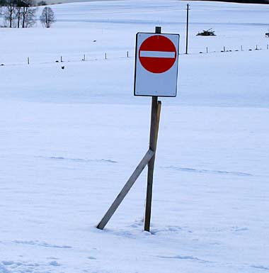 mitten auf der Wiese, Einbahnstrasse für Langläufer? 