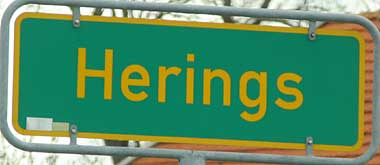 Herings ist ein Teil von Wald