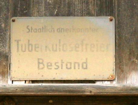 Pfronten 2006