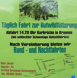 Täglich Rotwidfütterung in Brunnen