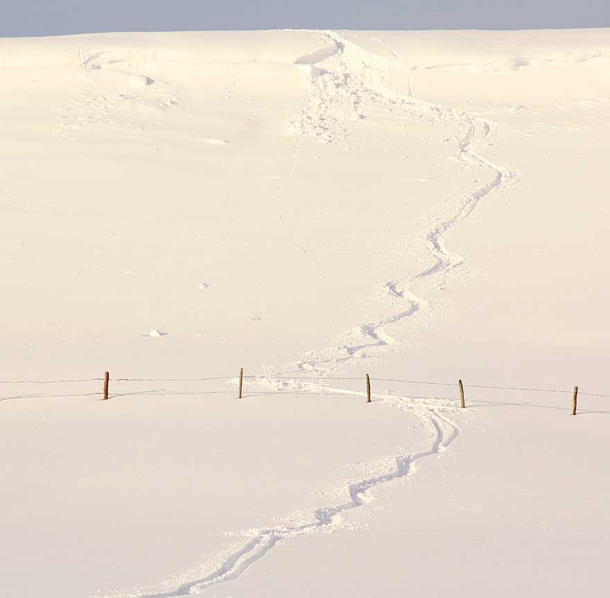 Alpine Abfahrt vom Nadenberg - Vom Tourenskigeher ausgelöstes Schneebrett in Heimenkirch