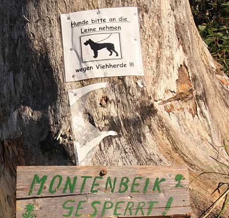 Montenbeik ist richtig Deutsch geschrieben, oder???