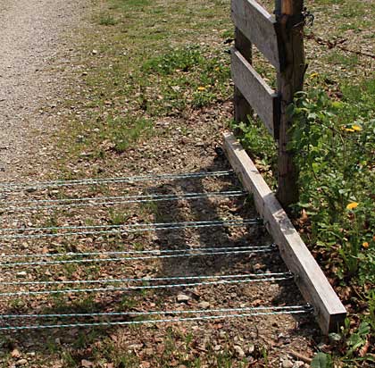 Hier können Sie ihre Wanderschuhe auf den Rost legen und grillen lassen - Schwarzer Grat 2009