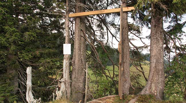 Porta Alpinae - man nagele ein Brett in den Wald - schon wird Kunst daraus