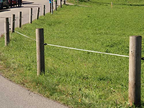 Der Durchmesser der getränkten Hagpfähle ist wirklich beachtlich