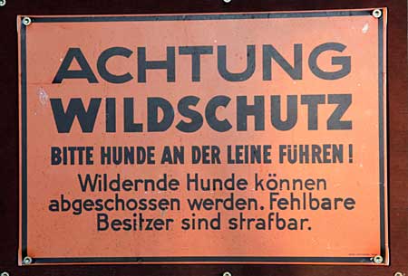 Wildernder Hunde können abgeschossen werden. Fehlbare Besitzer sind strafbar. Stiefenhofen 2011