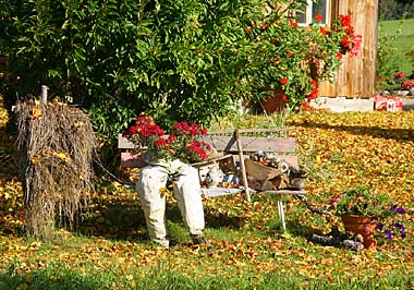 auf dem Weg zur K&ouml;nigsalpe zwischen Mutten und Trabers 2008