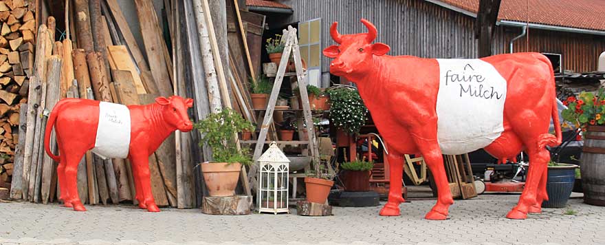 2011 - die Faire Milch auch in Österreich - Möggers bei Scheidegg (Westallgäu)