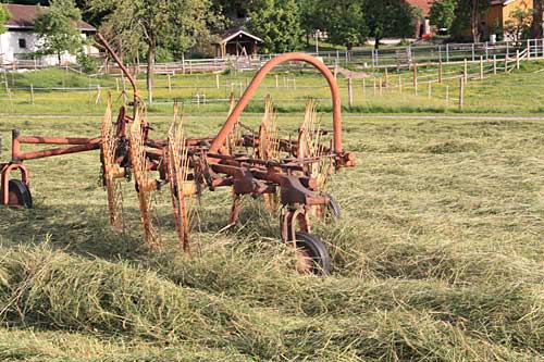 Simmerberg - als die Milchleistuing noch die einzig bestimmende Größe war.