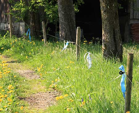 In Ermangelung einer elektrischen Warnung wurde das Band mit "Achtung Wasserleitung" genommen. 