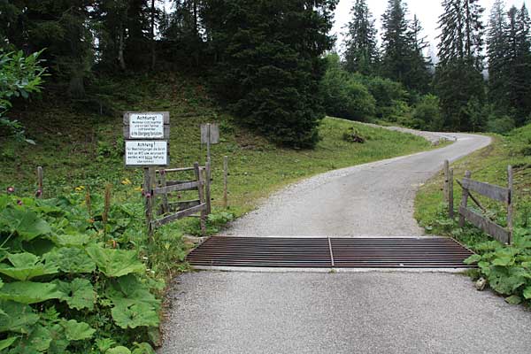 Ein Weiderost ist so beschaffen, dass sich freilaufende Kühe da nicht darüber wagen. Der Abstand ist so groß, dass Wanderer aber auch nicht durchfallen können.