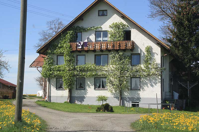 Spalierobst - Allgäuer Bauernhof - Hier kann man Kirschen auf dem Balkon pflücken.