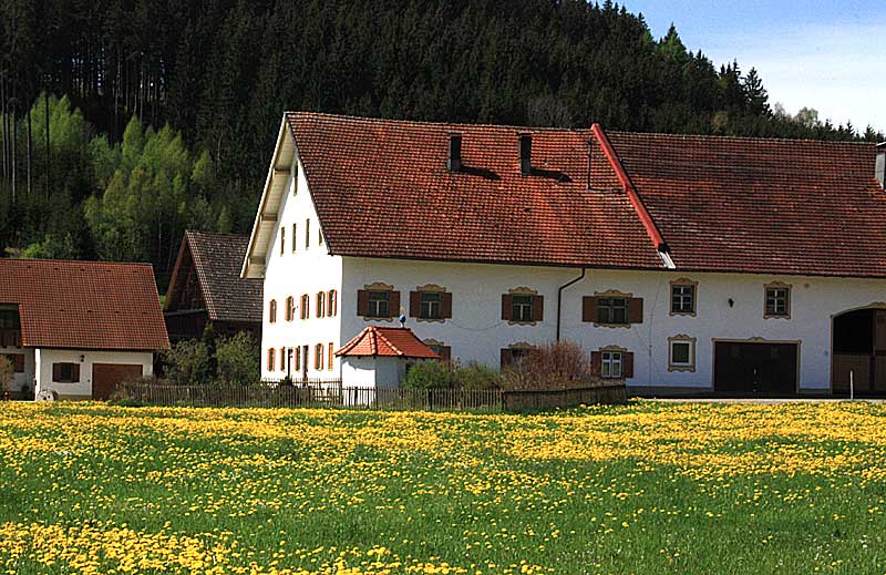 Allgäuer Bauernhof - Auch die Ställe sind bemalt, mit Hauskapelle gegenüber.