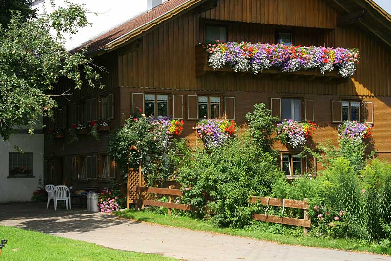 Allgäuer Bauernhof - Ein traditioneller Milchviehbetrieb (siehe Milchkannen) mit Bauerngarten