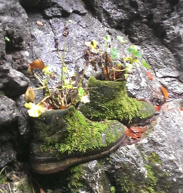 Breitachklamm - Ausgang zum Kleinwalsertal - von Thomas Rackette 2013 gesehen