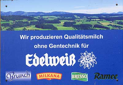 Edelweiss ist in Kempten (Oberallgäu)