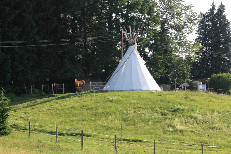 Die Herde wird von Cowboys im Allgäu in den Stall getrieben