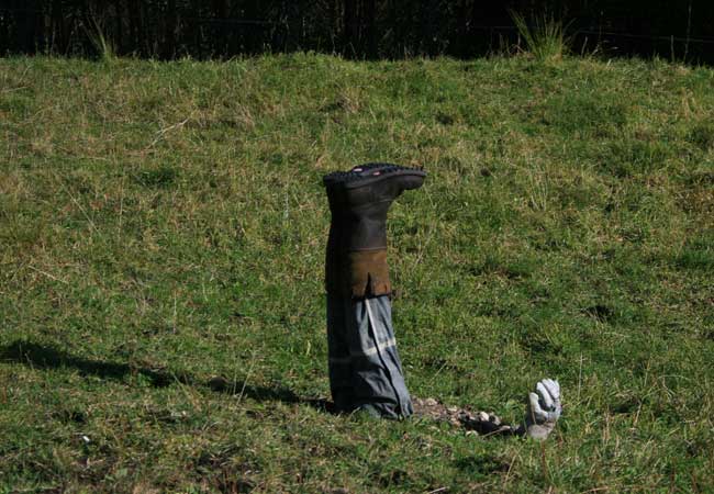 Kunst oder Krempel - Feuerwehrmann landet mit dem Kopf in der Wiese