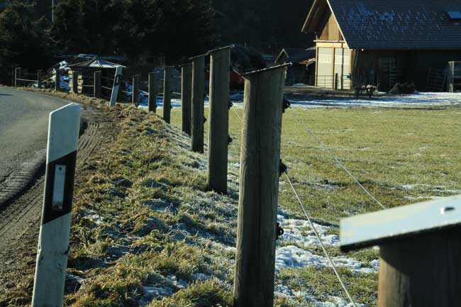 extrem geschützter Weidezaun mit teuren Isolatoren 