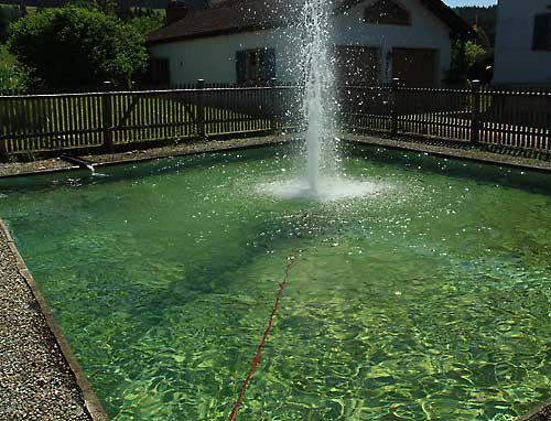 Der Feuerwehr - Springbrunnen (Tauchpumpe) kühlte die Hitze deutlich ab