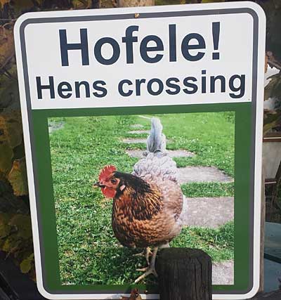 Achtung "Rasende Enten" in Aich - hier sollen die Autofahrer zum langsam fahren bewegt werden wegen spielenden Kinder