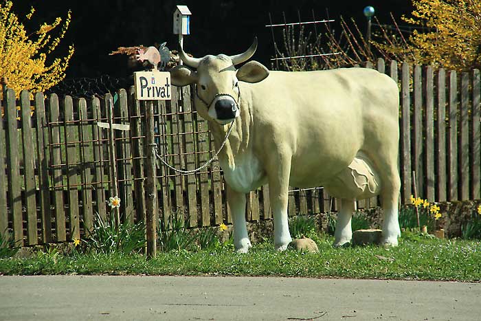 Schweineburg gehört zu Brugg, Gestratz