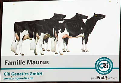 CRI Genetics konzentriert sich hauptsächlich auf die Vermarktung von Rindersperma der Rassen Holstein, Braunvieh, Jersey und verschiedener Fleischrassen in Deutschland, Österreich, der Schweiz und Luxemburg.