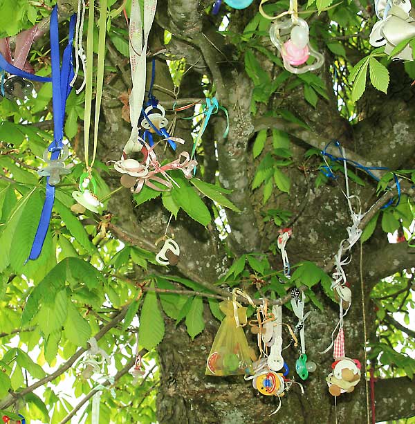 Schnullerbaum in Wangen im Allgäu - hier geben die Kinder ihren Schnuller ab, wenn er nicht mehr benutzt wird - er kommt in den Schnullerhimmel